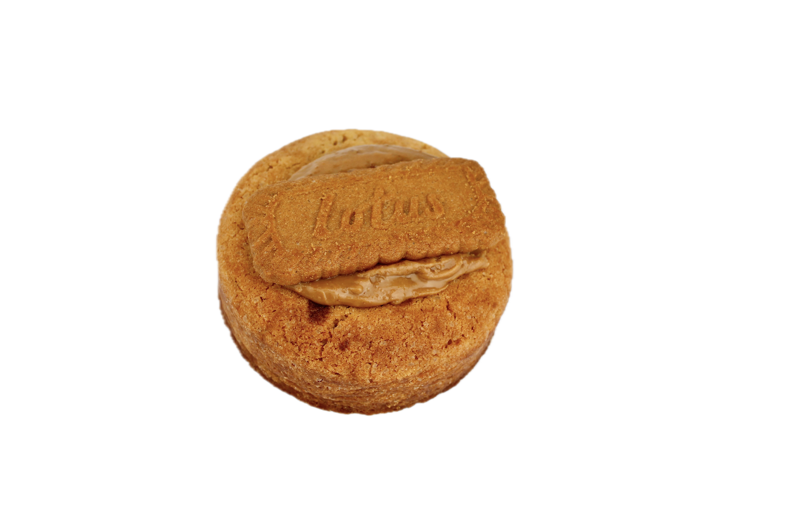 Biscoff Lotus Cookie