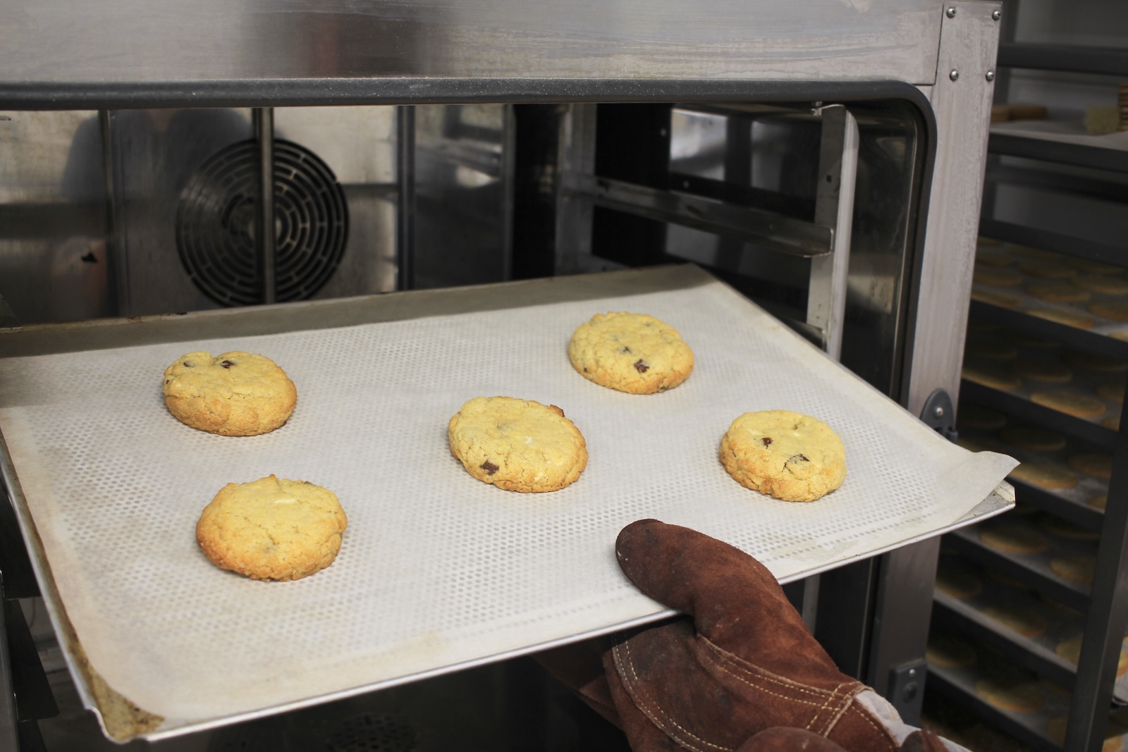Fertig gebackene Cookies auf dem Blech
